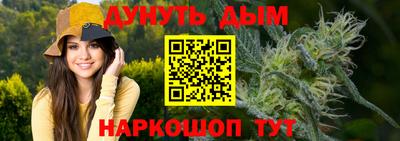 сатива Камышлов
