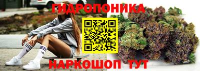 сатива Камышлов