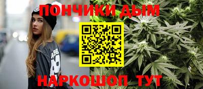 сатива Камышлов