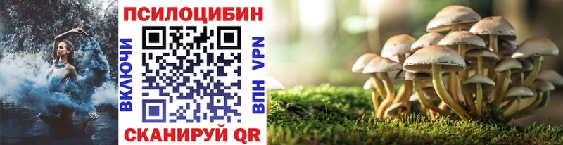 Псилоцибиновые грибы мухоморы  Лосино-Петровский 