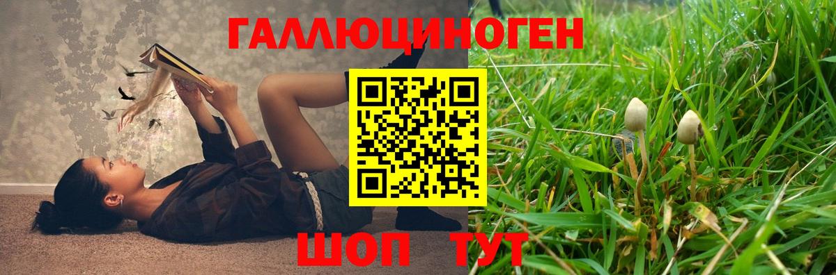 Галлюциногенные грибы Cubensis  Галлюциногенные грибы прущие грибы  Вход с VPN  Лосино-Петровский 